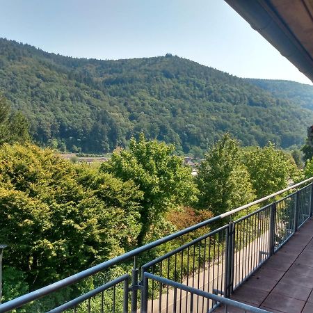 Hotel Zum Neckartal Heidelberg Esterno foto