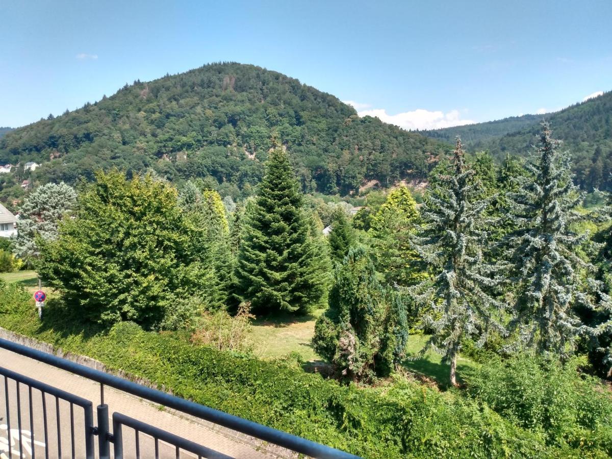 Hotel Zum Neckartal Heidelberg Esterno foto